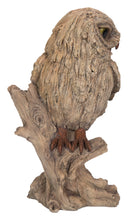 Load image into Gallery viewer, 87650-O - TRUMPET OWL -DRIFTWOOD LOOK-
