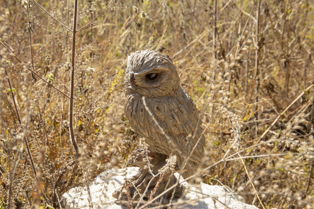 87650-O - TRUMPET OWL -DRIFTWOOD LOOK-