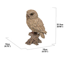 Load image into Gallery viewer, 87650-O - TRUMPET OWL -DRIFTWOOD LOOK-
