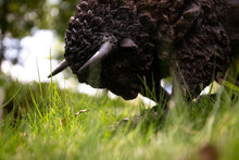 Load image into Gallery viewer, 87652-B - BISON HEAD DOWN - LARGE
