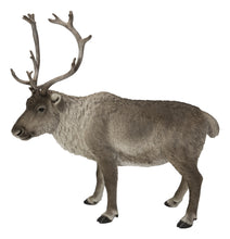 Load image into Gallery viewer, REINDEER STANDING
