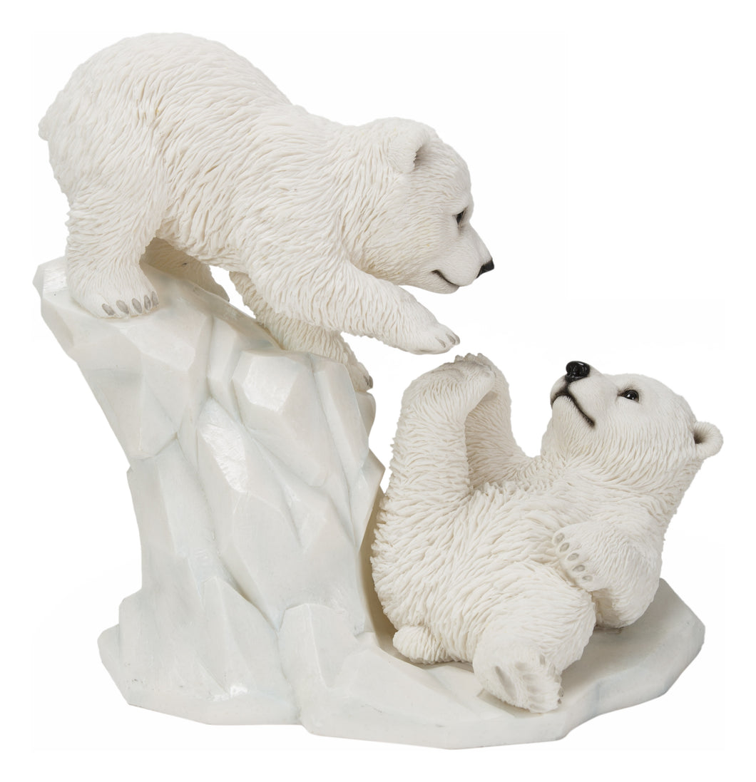 POLAR BEAR CUBS PLAYING