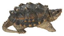 Load image into Gallery viewer, 87658 - SNAPPING TURTLE STATUE (HI-LINE EXCLUSIVE)
