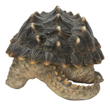 Load image into Gallery viewer, 87658 - SNAPPING TURTLE STATUE (HI-LINE EXCLUSIVE)
