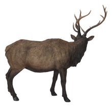 Load image into Gallery viewer, 87660-A - NORTH AMERICAN ELK STATUE (HI-LINE EXCLUSIVE)
