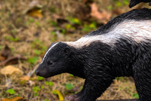 Load image into Gallery viewer, 87663 - WALKING SKUNK STATUE (HI-LINE EXCLUSIVE)
