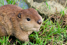 Load image into Gallery viewer, 87666-B - AMERICAN BEAVER CUB STATUE (HI-LINE EXCLUSIVE)
