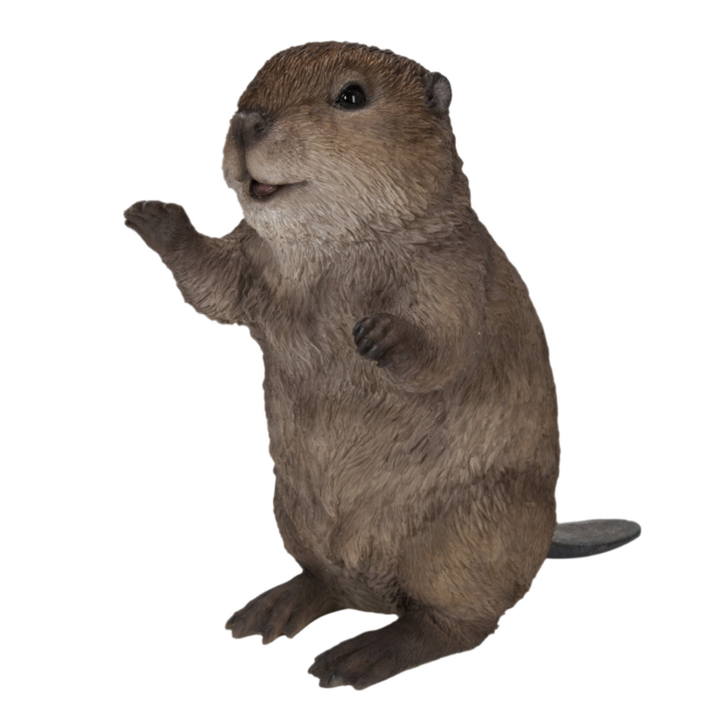 87666-C - AMERICAN BEAVER CUB STANDING STATUE (HI-LINE EXCLUSIVE)