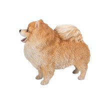 Load image into Gallery viewer, 87668 - DOG-POMERANIA STANDING-MEDIUM
