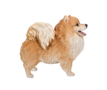 Load image into Gallery viewer, 87668 - DOG-POMERANIA STANDING-MEDIUM
