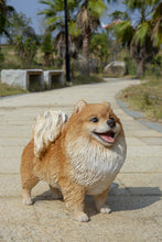 Load image into Gallery viewer, 87668 - DOG-POMERANIA STANDING-MEDIUM
