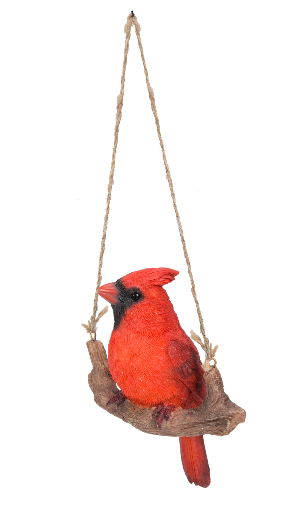 HANGING CARDINAL ON BRANCH