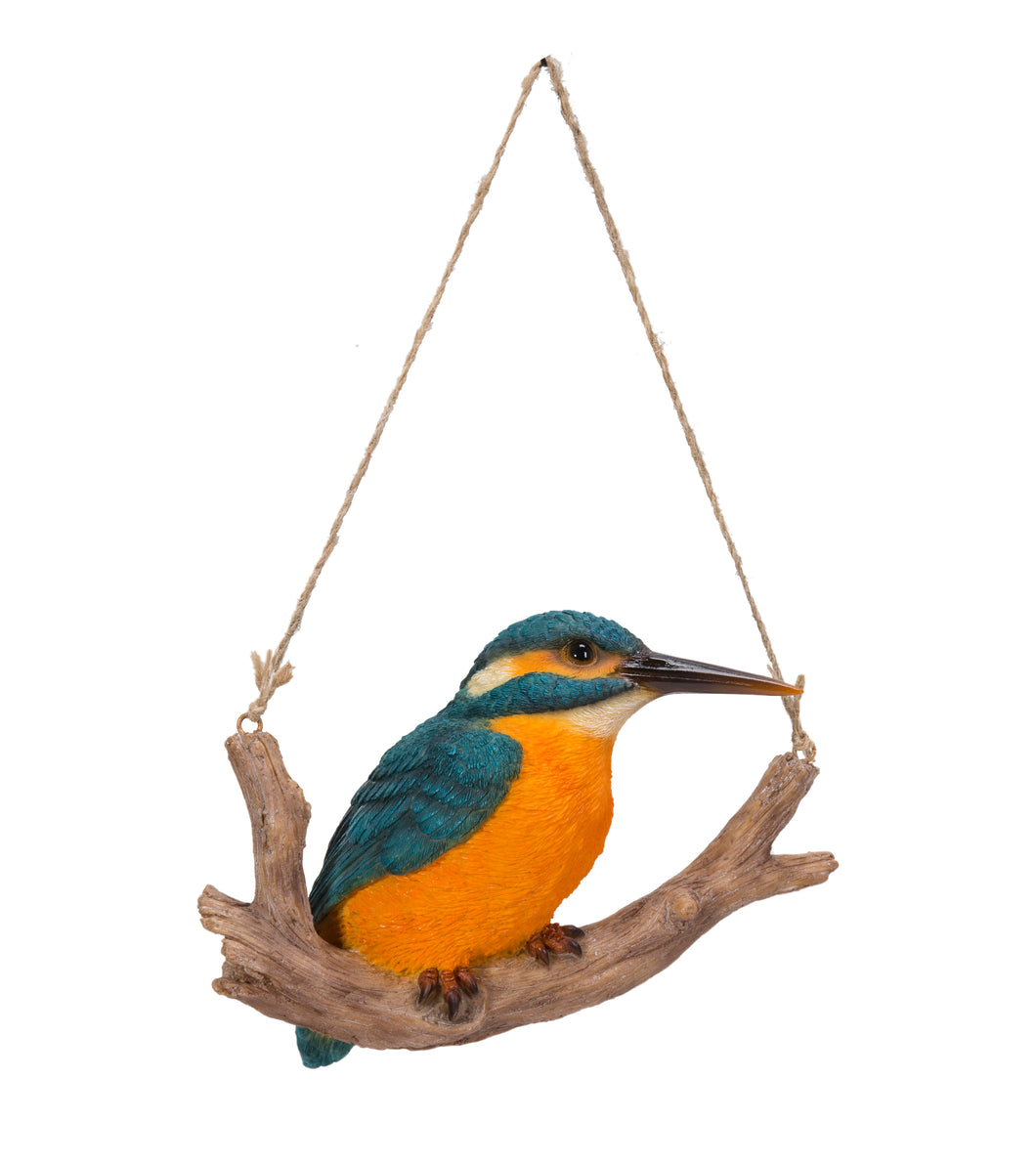 HANGING KINGFISHER ON BRANCH
