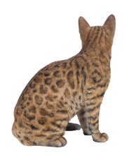 Load image into Gallery viewer, 87674 - SITTING BENGAL CAT
