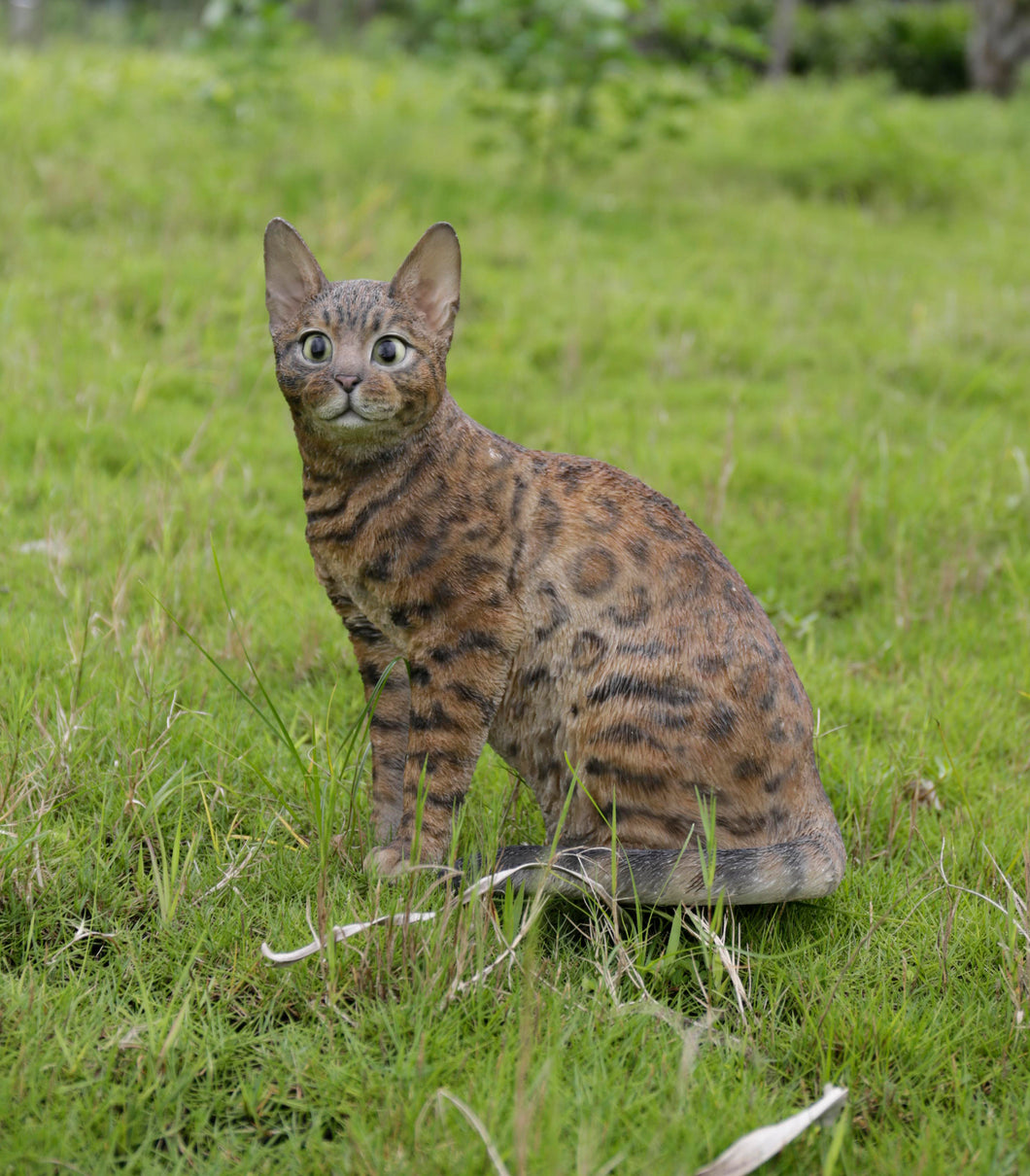 87674 - SITTING BENGAL CAT