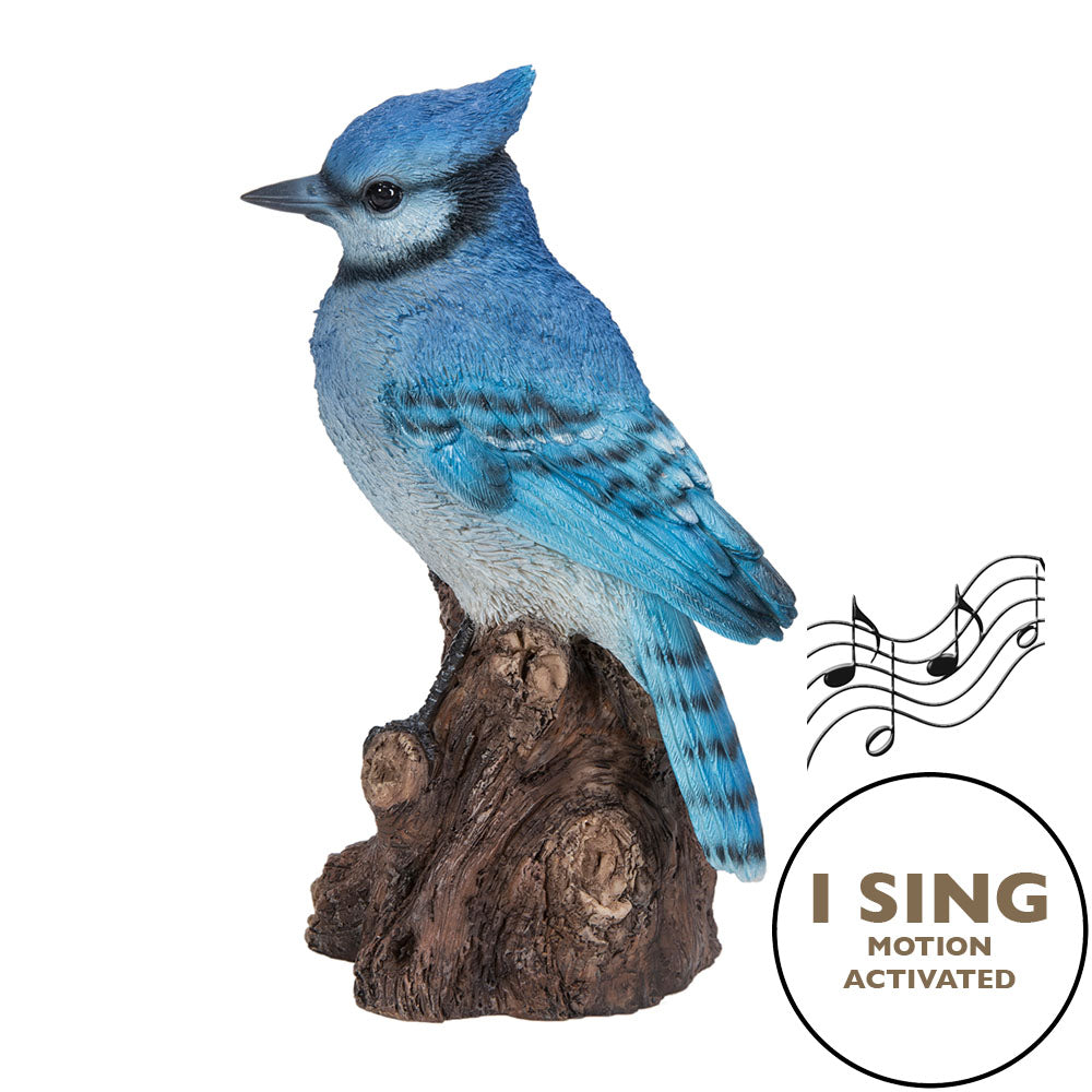 MOTION ACTIVATED SINGING BLUE JAY STANDING  STUMP
