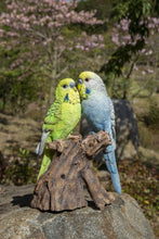 Load image into Gallery viewer, 87675-F - MOTION ACTIVATED SINGING COUPLE BUDGERIGAR ON STUMP
