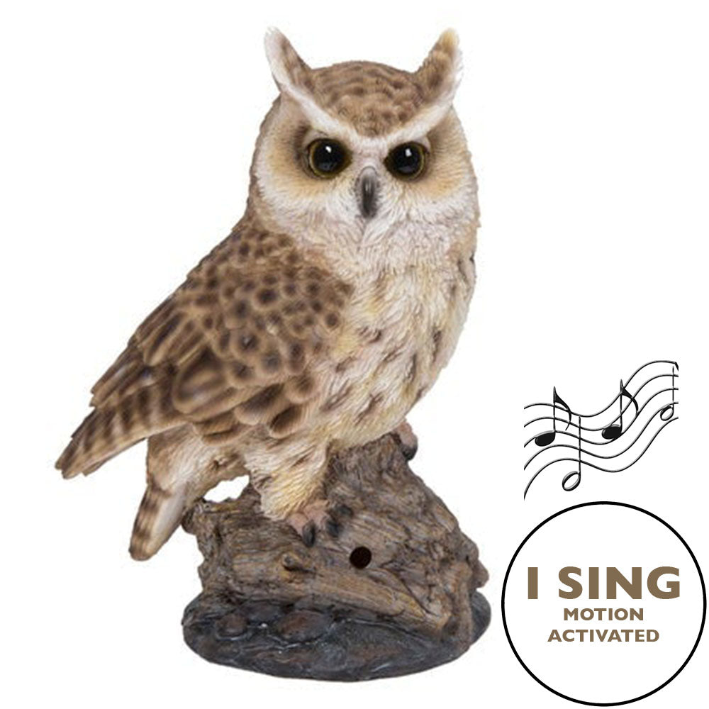 MOTION ACTIVATED SINGING LONG EARED OWL STANDING ON STUMP