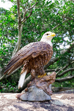 Load image into Gallery viewer, 87675-K - MOTION ACTIVATED SINGING EAGLE
