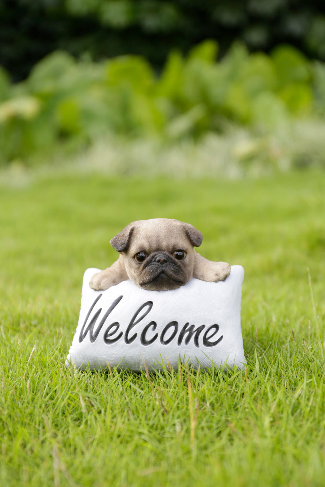 87677-C - PUG W/WELCOME SIGN