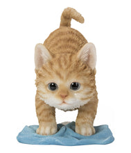 Load image into Gallery viewer, KITTEN MOPPING THE FLOOR
