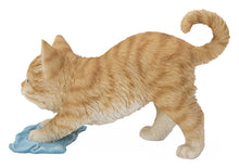 Load image into Gallery viewer, 87677-D - KITTEN MOPPING THE FLOOR
