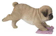 Load image into Gallery viewer, 87677-F - PUG MOPPING THE FLOOR
