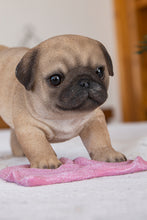 Load image into Gallery viewer, 87677-F - PUG MOPPING THE FLOOR
