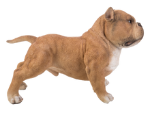 Load image into Gallery viewer, 87678-A - WALKING BULLY DOG - BROWN
