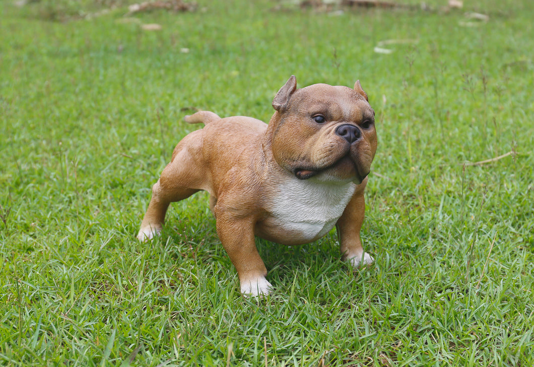 87678-A - WALKING BULLY DOG - BROWN