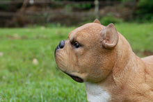 Load image into Gallery viewer, 87678-A - WALKING BULLY DOG - BROWN
