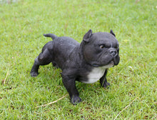 Load image into Gallery viewer, 87678-B - WALKING BULLY DOG - BLACK
