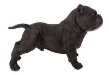 Load image into Gallery viewer, 87678-B - WALKING BULLY DOG - BLACK
