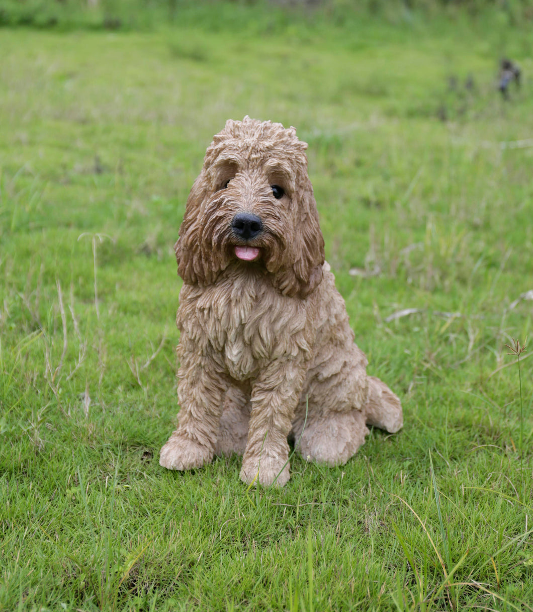 87679-A - LARGE SITTING COCKAPOO - CREAM