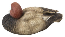 Load image into Gallery viewer, 87682-B - MALLARD W/WITH RED HEAD
