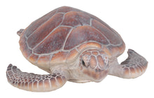 Load image into Gallery viewer, 87683-A - SEA TURTLE-LARGE
