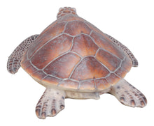 Load image into Gallery viewer, 87683-A - SEA TURTLE-LARGE
