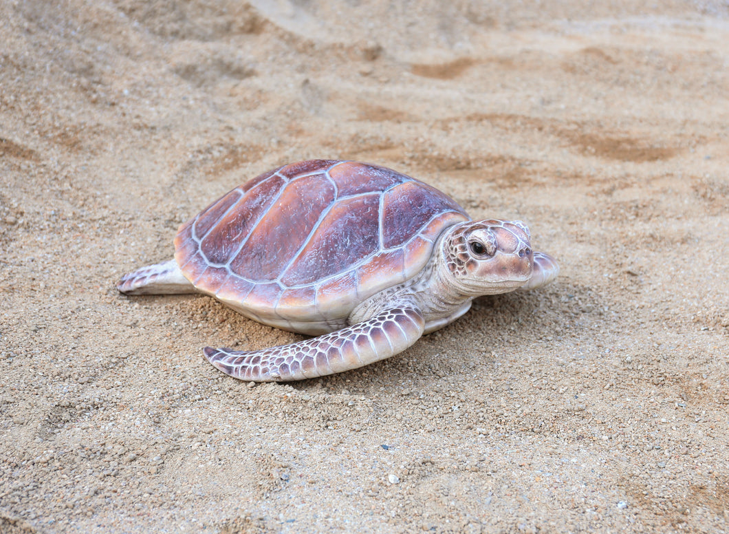 87683-A - SEA TURTLE-LARGE