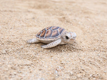 Load image into Gallery viewer, 87683-B - SEA TURTLE-SMALL
