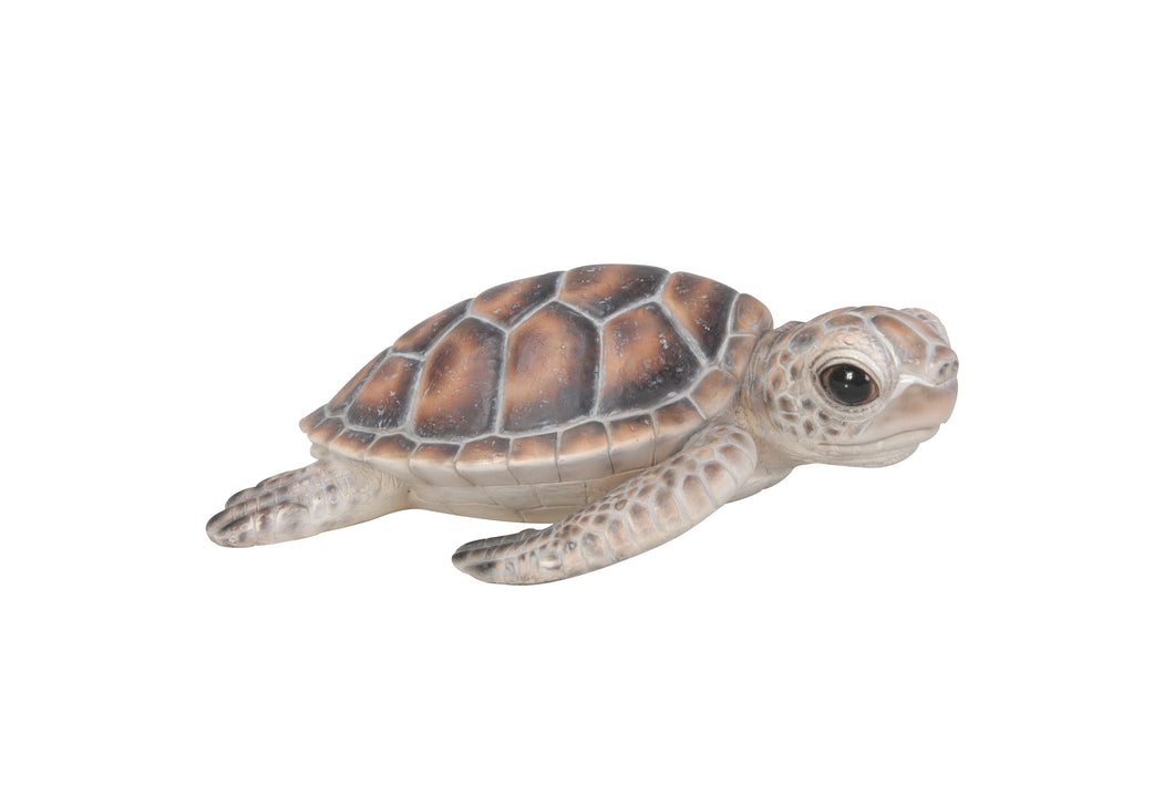 SEA TURTLE-SMALL