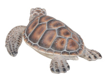 Load image into Gallery viewer, 87683-B - SEA TURTLE-SMALL
