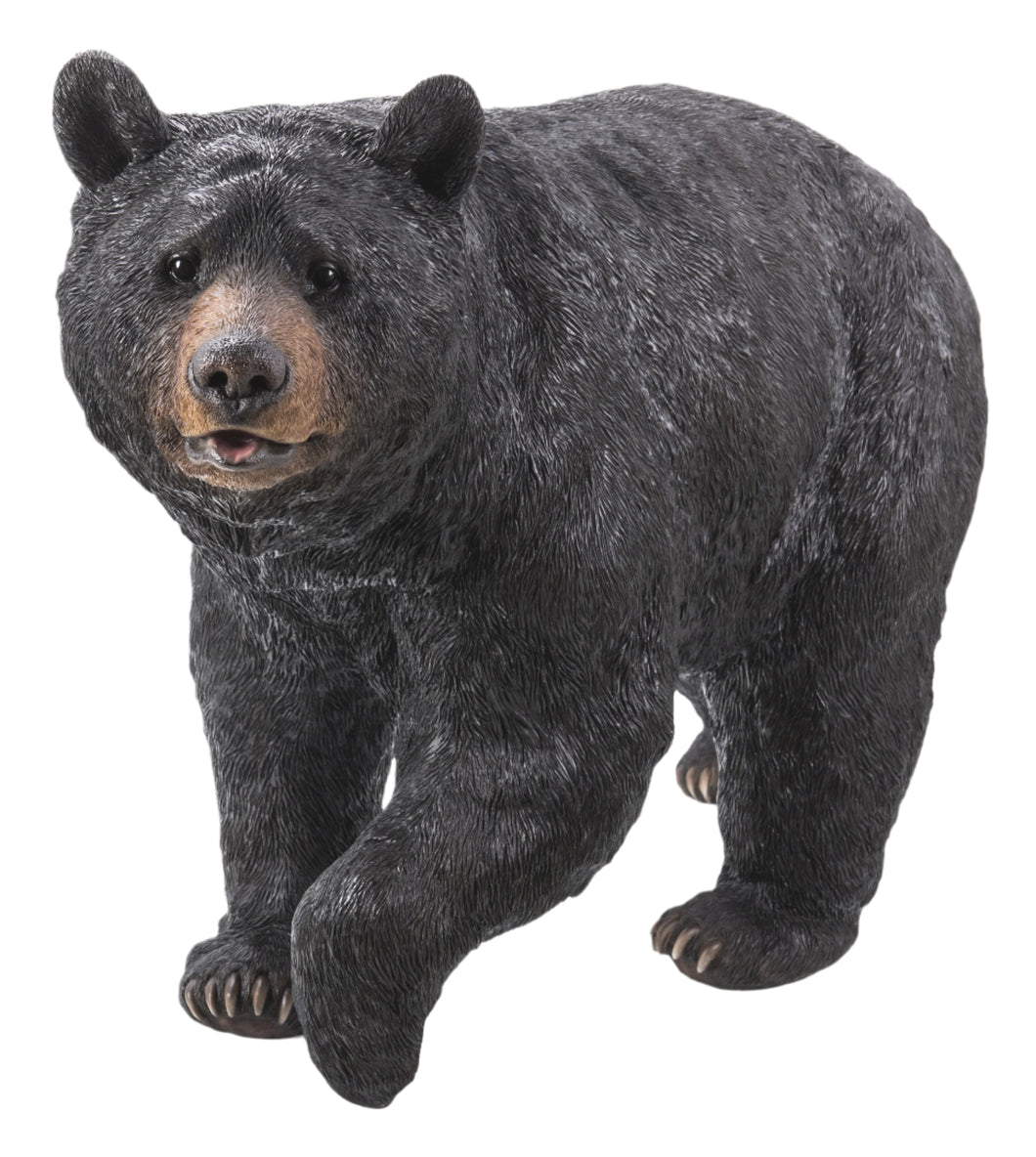 BLACK BEAR WALKING