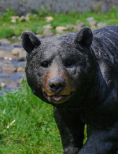 Load image into Gallery viewer, 87684-B - BLACK BEAR WALKING
