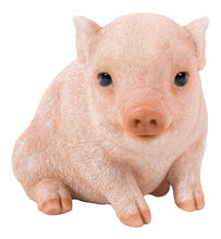 Load image into Gallery viewer, PIG-CHUBBY PIGLET SITTING - PINK
