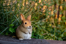 Load image into Gallery viewer, 87685-C - RABBIT CHUBBY STANDING
