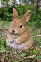 Load image into Gallery viewer, 87685-C - RABBIT CHUBBY STANDING
