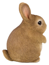 Load image into Gallery viewer, 87685-C - RABBIT CHUBBY STANDING
