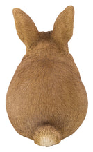 Load image into Gallery viewer, 87685-C - RABBIT CHUBBY STANDING
