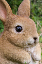 Load image into Gallery viewer, 87685-C - RABBIT CHUBBY STANDING
