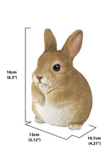 Load image into Gallery viewer, 87685-C - RABBIT CHUBBY STANDING
